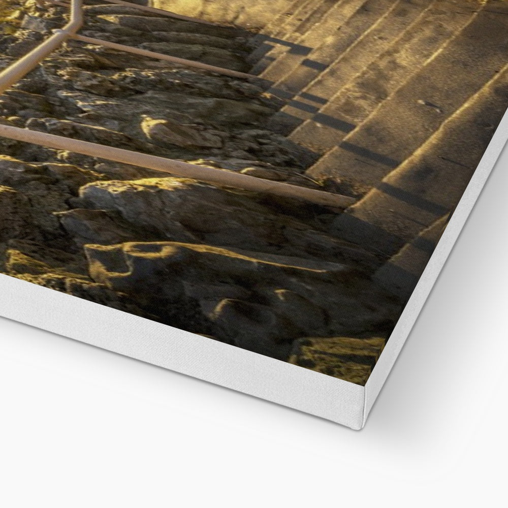 Printed Canvas Cat & Dog Steps, Sunderland by David Allan