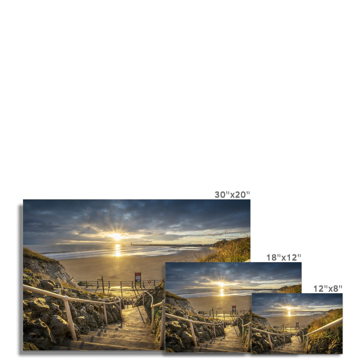 Fine Art Print Cat & Dog Steps, Sunderland by David Allan