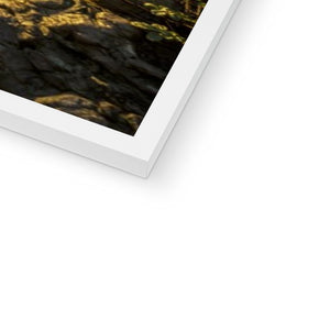Fine Art Print Framed - Cat & Dog Steps, Sunderland by David Allan