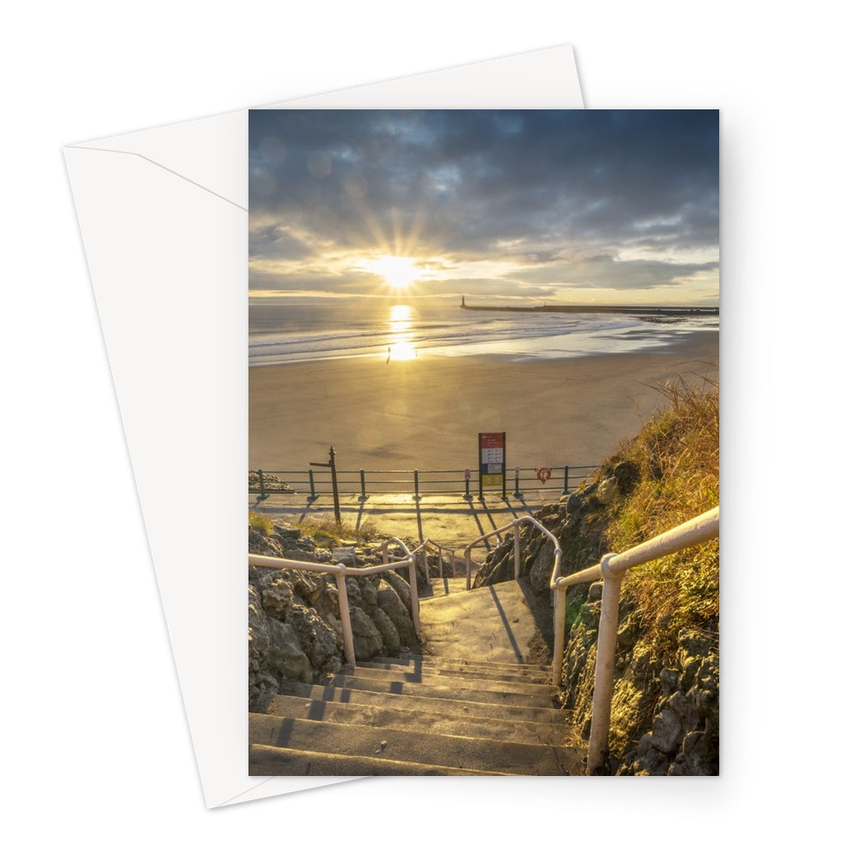 Greetings Card Cat & Dog Steps, Sunderland by David Allan