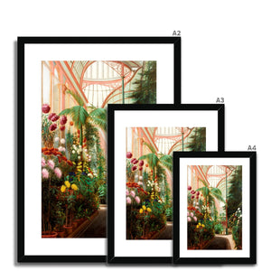 Fine Art Print Framed & Mounted - Sunderland Winter Gardens Interior by Daniel Marshall