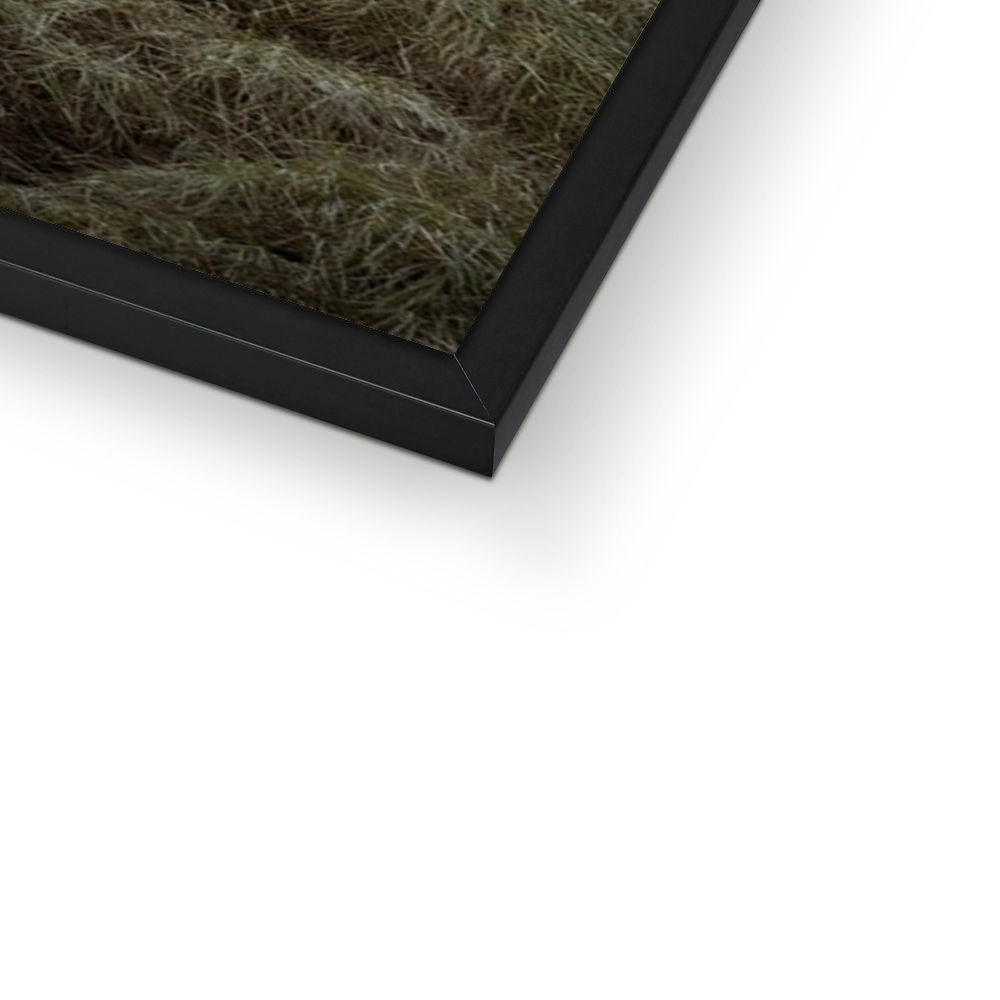 Fine Art Print Framed - Northern Spire, Sunderland