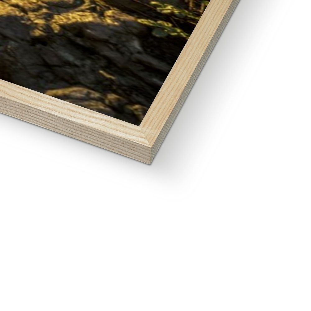 Fine Art Print Framed - Cat & Dog Steps, Sunderland by David Allan