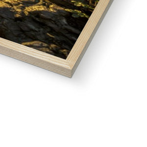 Fine Art Print Framed - Cat & Dog Steps, Sunderland by David Allan