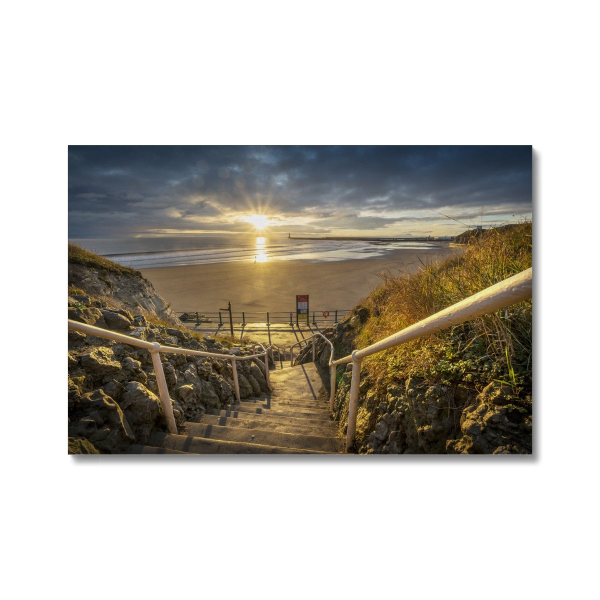 Printed Canvas Cat & Dog Steps, Sunderland by David Allan