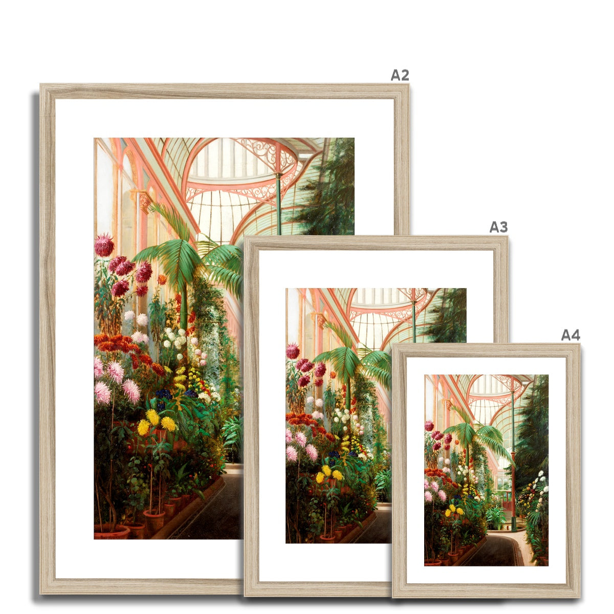 Fine Art Print Framed & Mounted - Sunderland Winter Gardens Interior by Daniel Marshall