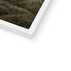 Fine Art Print Framed - Northern Spire, Sunderland