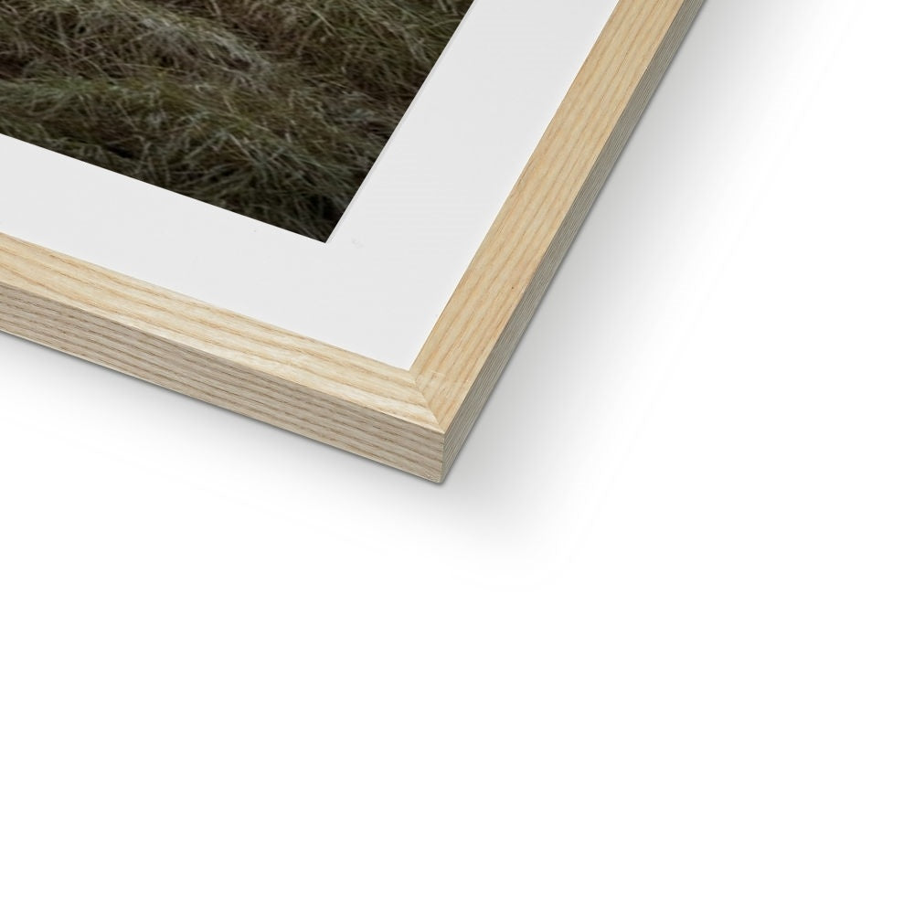 Fine Art Print Framed & Mounted - Northern Spire, Sunderland