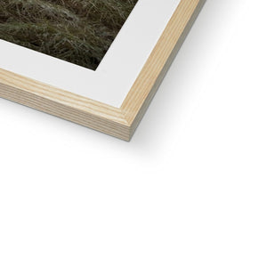 Fine Art Print Framed & Mounted - Northern Spire, Sunderland