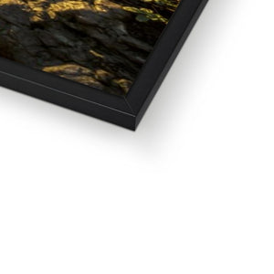Fine Art Print Framed - Cat & Dog Steps, Sunderland by David Allan